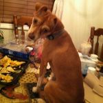 Debra Akers - @debra.akers - Instagram
