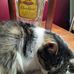 Debbie Albright - Facebook