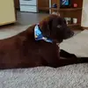 Debra Albright - @debra.albright0 - TikTok