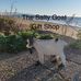 Debbie Allard - Facebook
