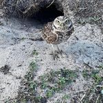 Deborah Allard-Butterworth - @daca1964 - Instagram