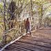 Deborah Amato - Facebook