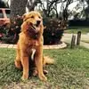Deborah Ames - @deborah.ames0 - TikTok