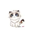 DeborahAndrea - @2183348422 - TikTok