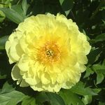 Deborah Appel Barker - @appelbarker - Instagram