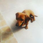 Deborah Aranda Orellana - @deboraharanda.2001 - Instagram