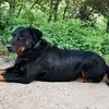 deboraharmbruster - @deboraharmbruster - TikTok