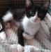 Deborah Asbury - Facebook