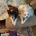 Debra Asbury - Facebook