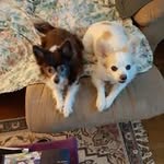 Debra Asbury - @debraasbuery - Instagram