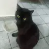 deborahash - @deborahashj - TikTok
