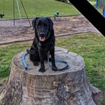 Deborah Askew - @bellyacresfarm - Instagram