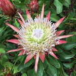 Deborah Flickinger Augustin - @dflick99 - Instagram