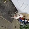 Deborah Ayers - @deborah.ayers4 - TikTok