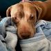 Deborah Agnew Badeaux - Facebook