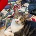 Deborah Barney Farrell - Facebook