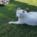 Deborah Rembiesa-barry - @deborahbarry55 - Instagram