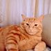 Deborah Batten - Facebook