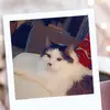 deborahbair - @deborahbair - TikTok