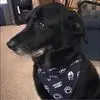 Deborah Beam - @deborah.beam6 - TikTok