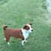 Deborah Beecham - Facebook