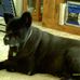 Deborah Beebe - Facebook