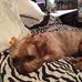Deborah Beebe - Facebook