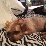 Deborah Beebe - @dtb5473 - Instagram