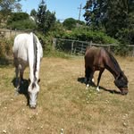 Deborah Kneisler Beebe - @beebe.deborah - Instagram