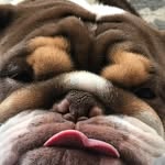 Deborah Tompkins Beebe - @deborahbeebe - Instagram