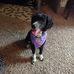 Debbie Behrens - Facebook