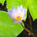 Deborah Behrens - @tinleyideas - Instagram