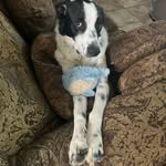 Deborah Belanger - @dubscb - Instagram