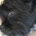Deborah Belotti - Facebook