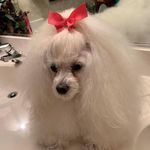 Deborah Benge - @benge.deborah - Instagram