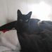 Deborah Bennington - Facebook