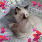 Deborah Benoit - @bebbee328 - Instagram