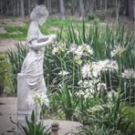 Deborah Benoit - Facebook