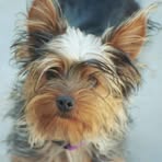 Deborah Barkfelt - Facebook