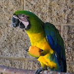 Deborah Bergquist - @bergquist9362 - Instagram