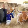 debrabergquistjoh - @debrabergquistjoh - TikTok
