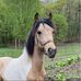 Debbie Berk - Facebook