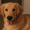 deborahberk718 - @deborahberk718 - TikTok