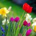 Debbie Bernhardt - Facebook