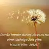 Deborah Bernhardt - @deborahbernhardt8 - TikTok