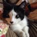 Deborah Bernstein - Facebook
