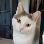 Deborah Bernstein - @dbernstein44 - Instagram