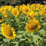 Deborah Ashby Bertrand - @deborah5668 - Instagram