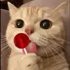 Débora - @deborah..bess - TikTok