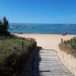 Deborah Bess - @d.bess45 - Instagram